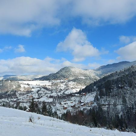 Вилла Tarska Carolija Zaovine Popovici Экстерьер фото