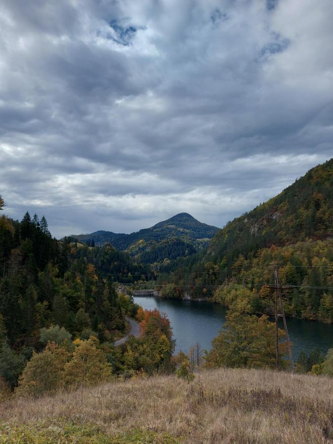 Вилла Tarska Carolija Zaovine Popovici Экстерьер фото