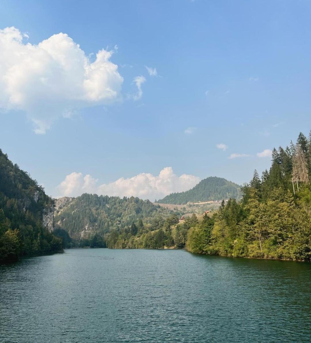 Вилла Tarska Carolija Zaovine Popovici Экстерьер фото